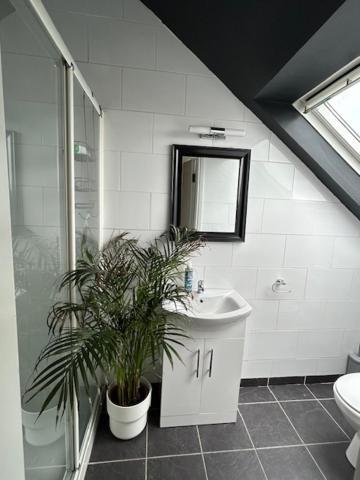 The Lodge, Monkstown Monkstown  외부 사진